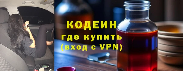 индика Михайлов