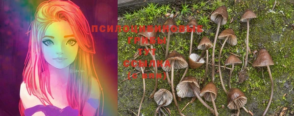 индика Михайлов