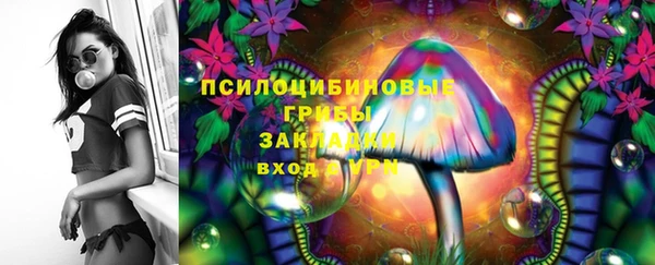 мдпв Михайловка