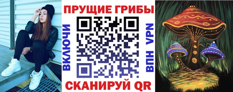 Псилоцибиновые грибы прущие грибы  Цимлянск 